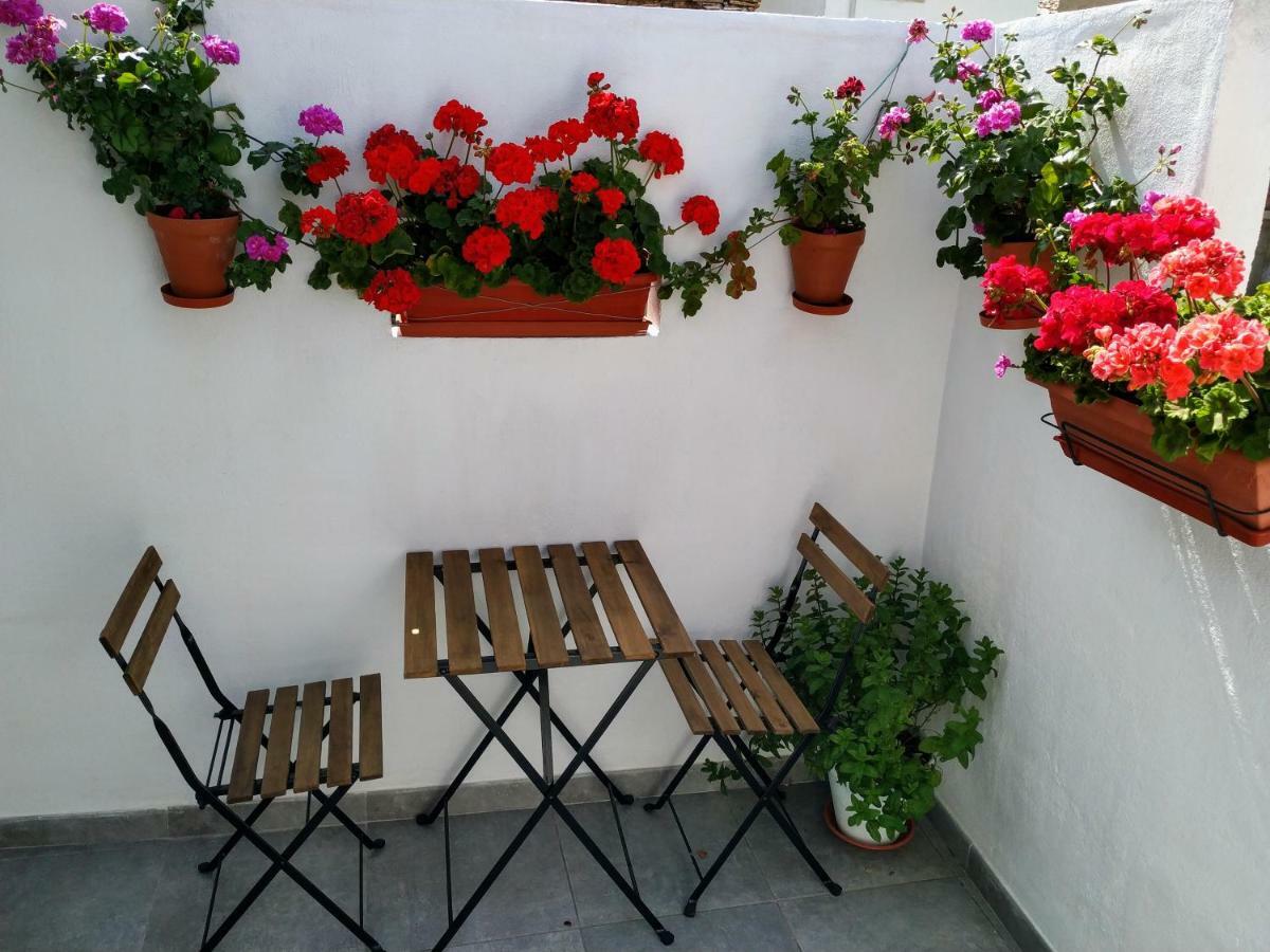 Apartamento entero El Casco Antiguo Xàtiva  Exterior foto