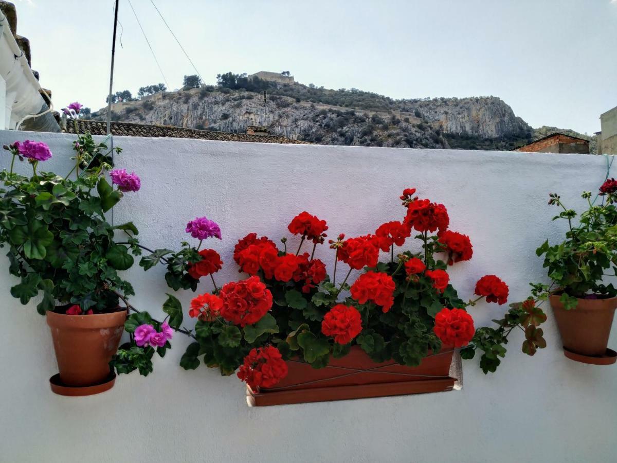 Apartamento entero El Casco Antiguo Xàtiva  Exterior foto